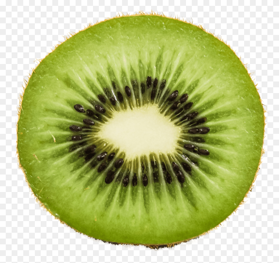 Pngpix Com Kiwi Fruit Transparent Image, Food, Plant, Produce, Animal Png