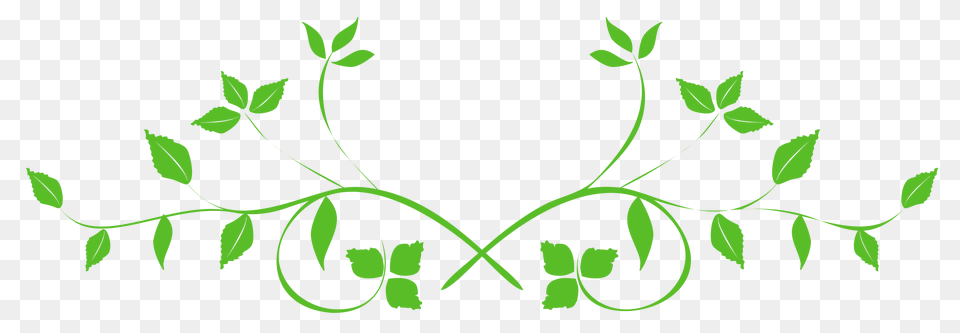 Pngpix Com Leaves Swirl Transparent Image, Green Png