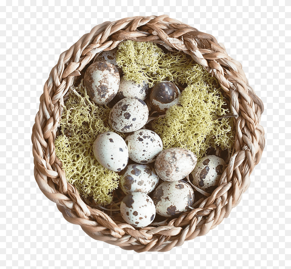 Pngpix Com Nest Transparent Image, Egg, Food Free Png