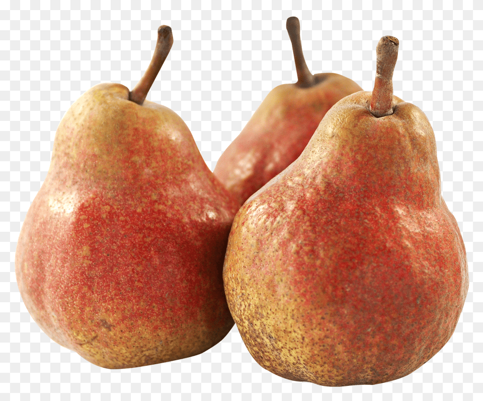 Pngpix Com Pear Fruit Image, Food, Plant, Produce Free Transparent Png