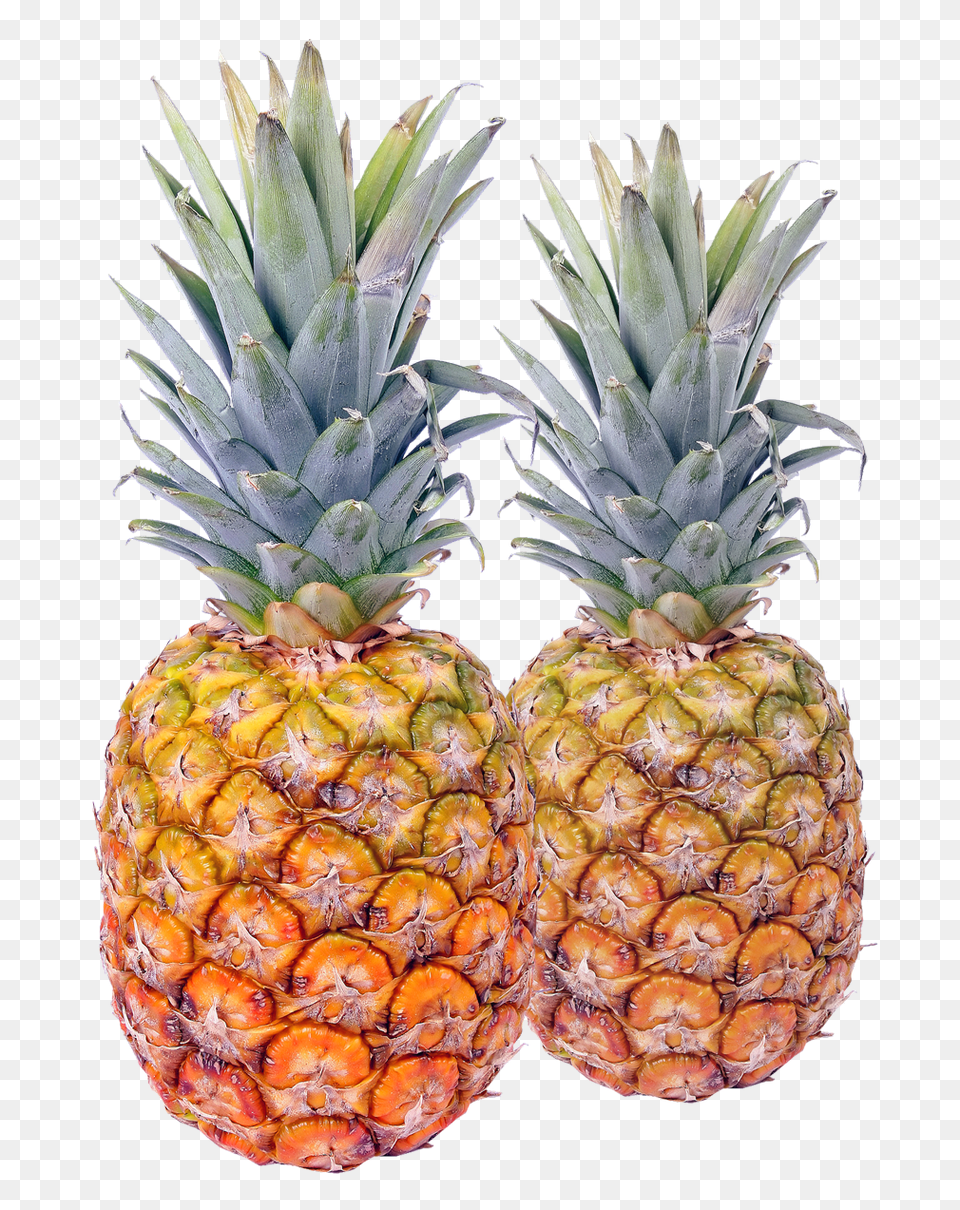 Pngpix Com Pineapple Image, Food, Fruit, Plant, Produce Png