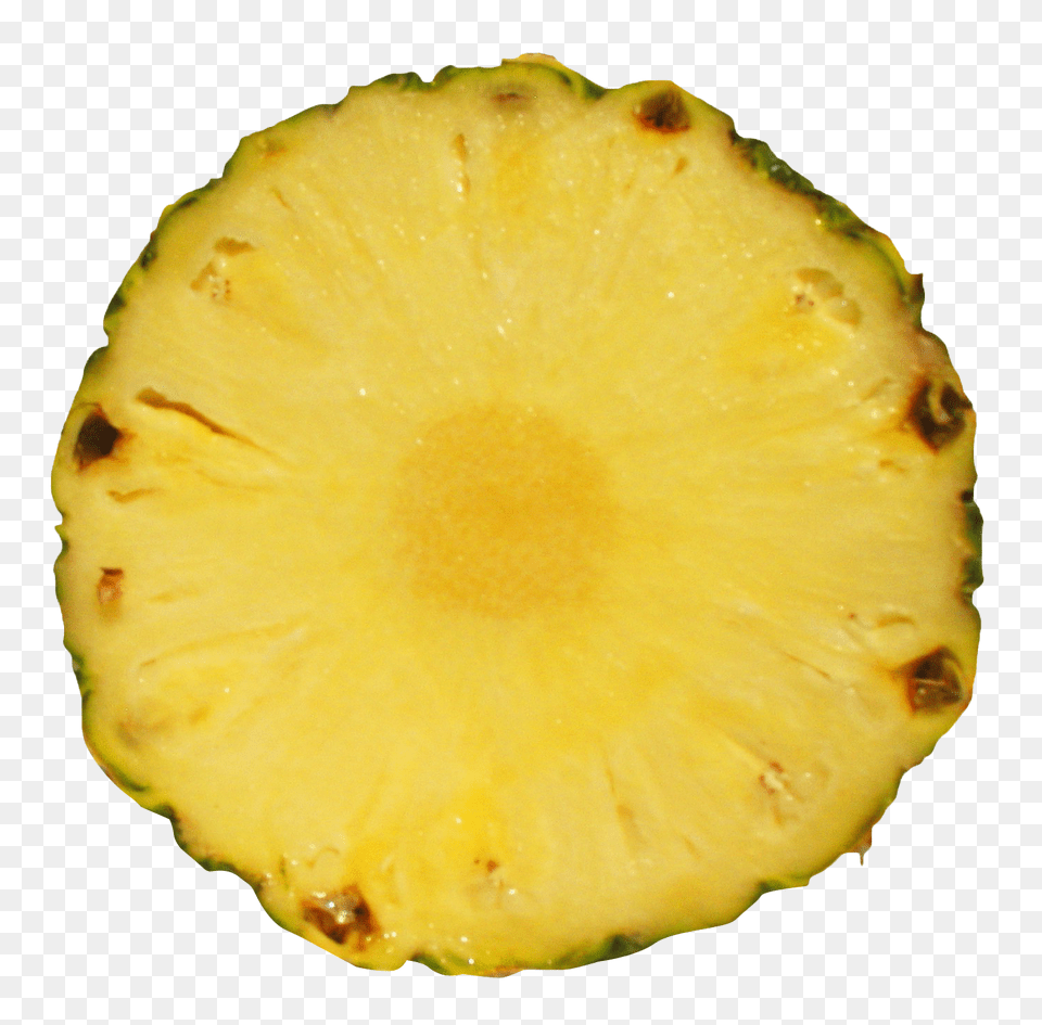 Pngpix Com Pineapple Slice Transparent Image, Food, Fruit, Plant, Produce Png