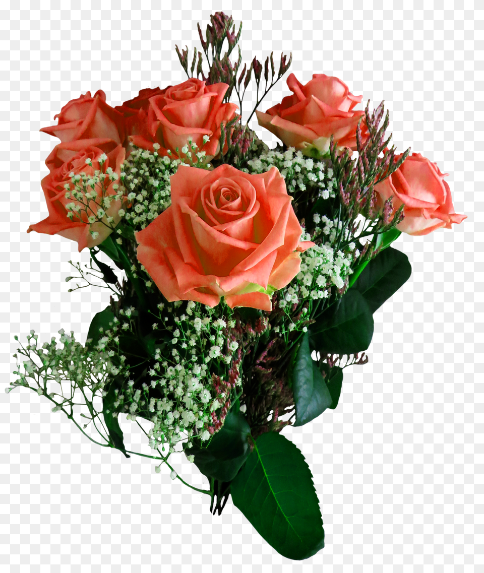 Pngpix Com Rose Flower Transparent Flower Arrangement, Flower Bouquet, Plant, Art Png Image