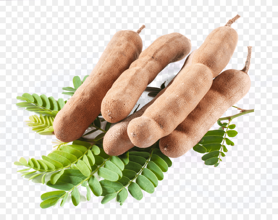 Pngpix Com Tamarind Transparent Herbal, Herbs, Plant, Food Png Image