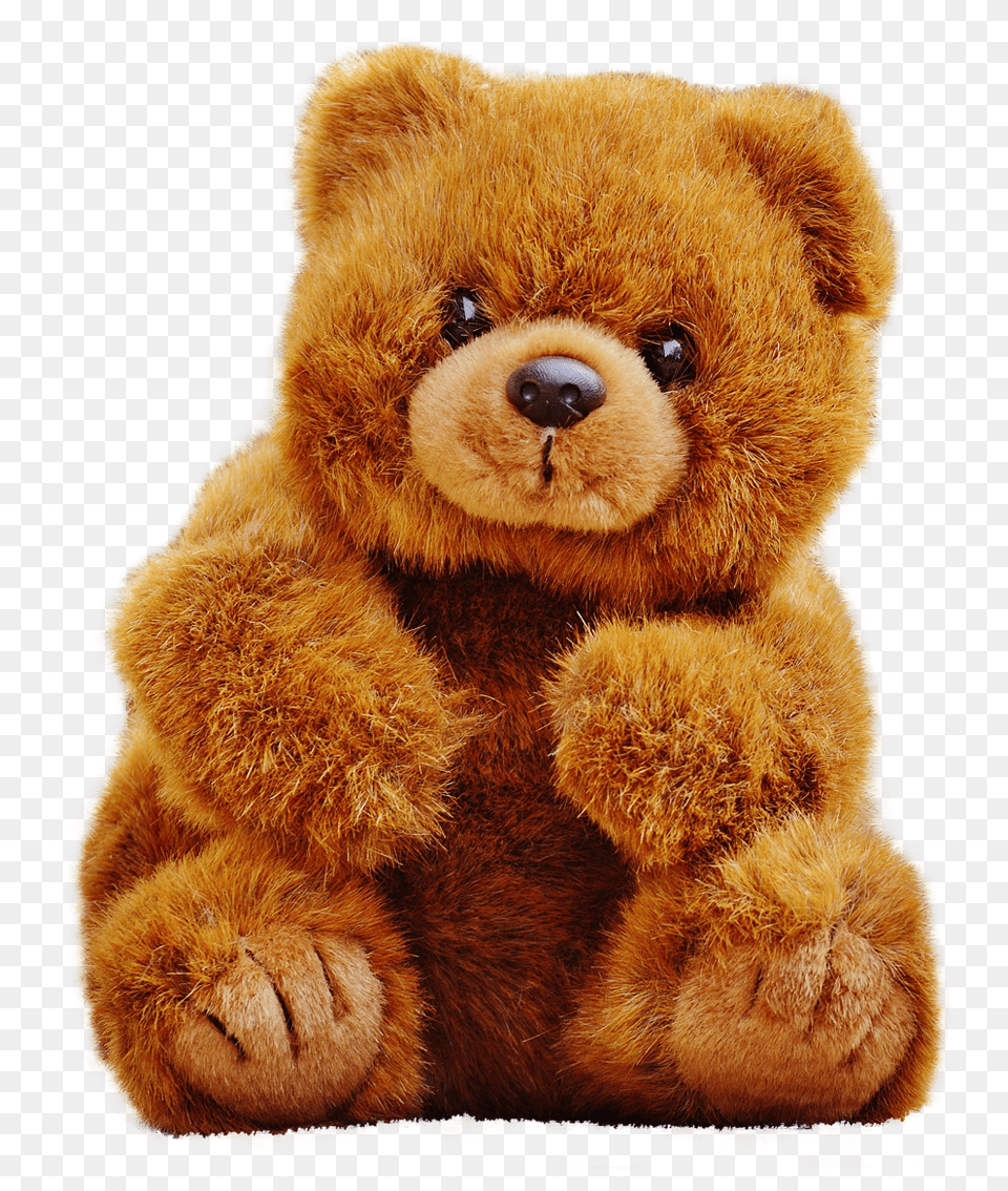 Pngpix Com Teddy Bear Image, Animal, Mammal, Teddy Bear, Toy Free Transparent Png