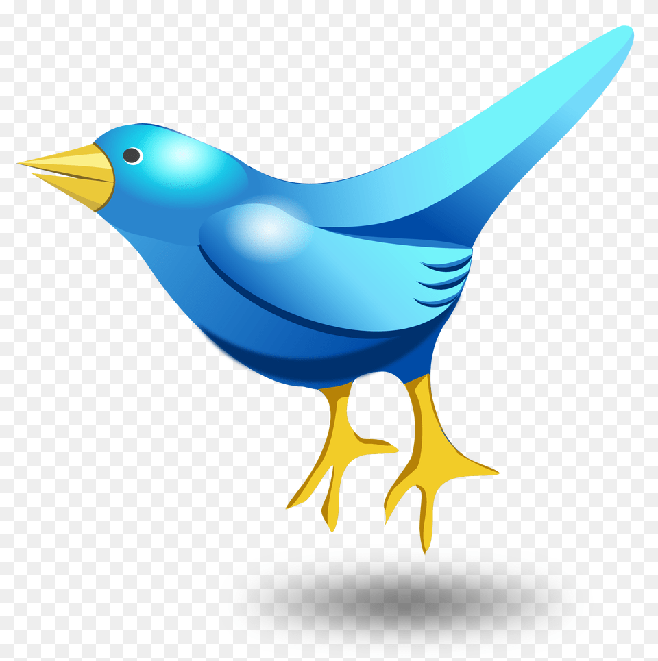 Pngpix Com Twitter Tweet Bird Vector Transparent, Animal, Beak, Jay, Fish Free Png