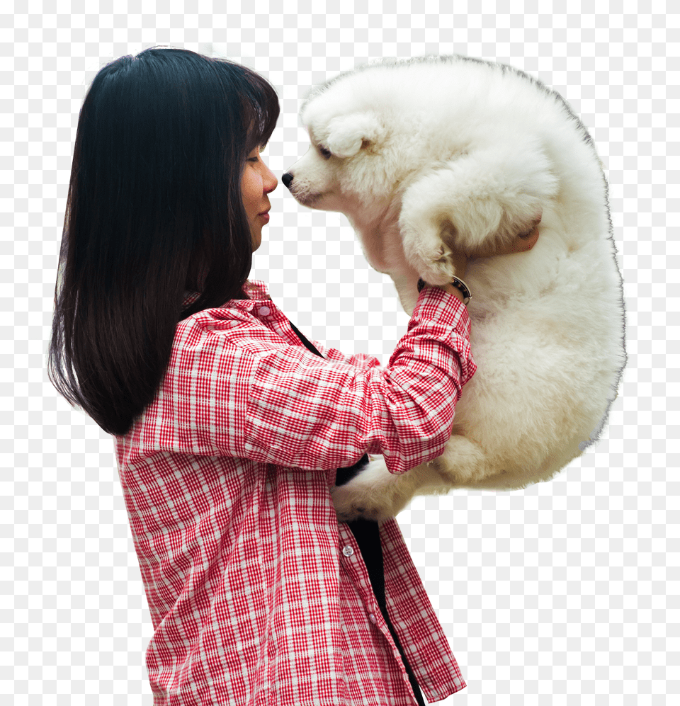 Pngpix Com Woman Playing With A Puppy Dog Image, Animal, Bear, Wildlife, Mammal Free Transparent Png