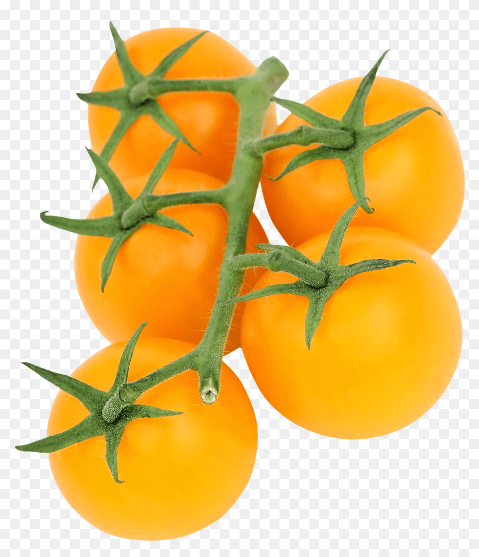 Pngpix Com Yellow Tomato Food, Produce, Plant, Vegetable Free Transparent Png