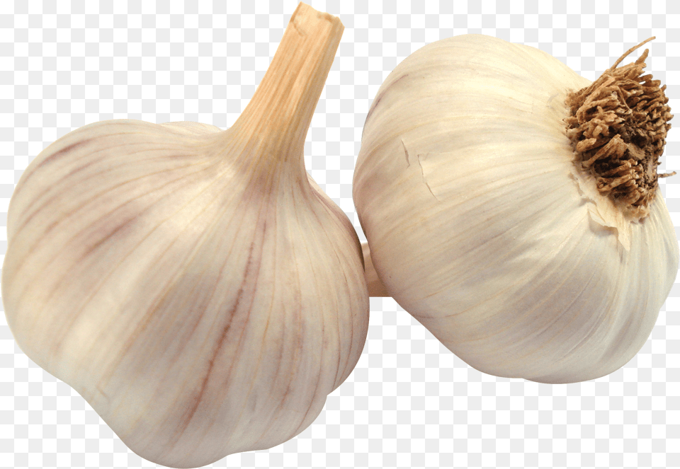 Pngpix Garlic, Food, Produce, Plant, Vegetable Png