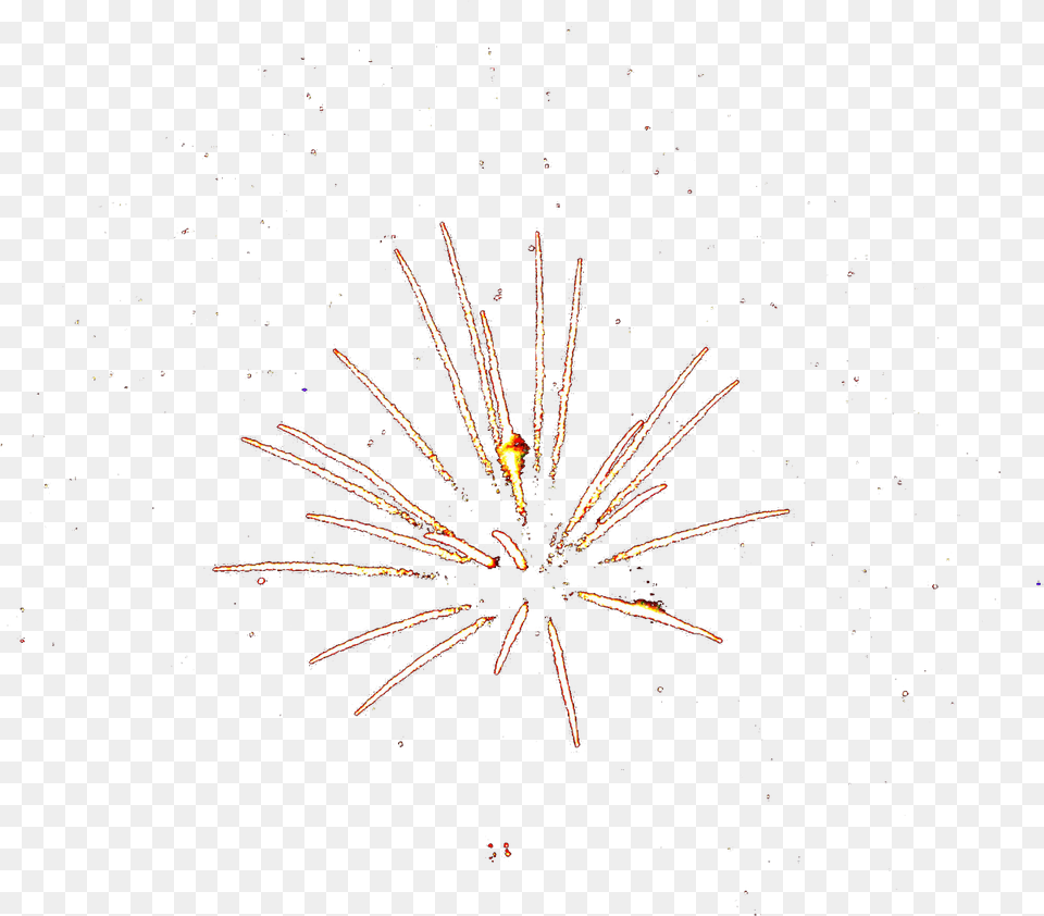 Pngtransparent Blogtransparency Edit Circle, Fireworks, Plant Png