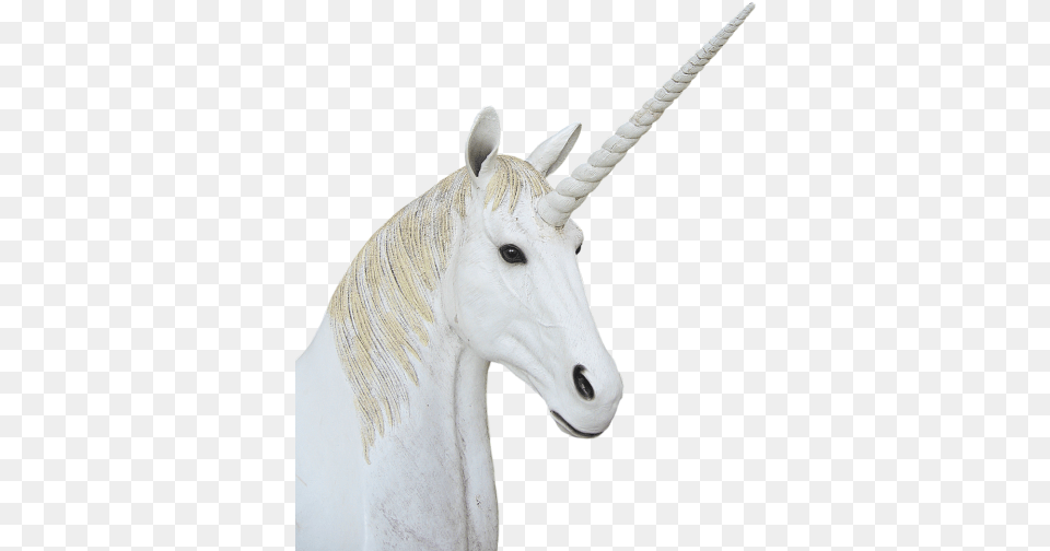 Pngunicornanimal Magicfantasy Unicorn, Animal, Horse, Mammal Free Png