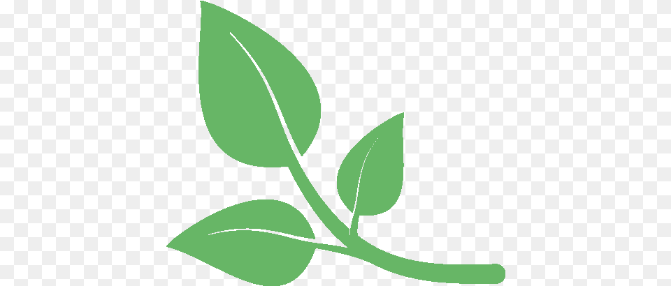 Poc Logo Transparent Pregnancy, Leaf, Plant, Herbal, Herbs Png Image