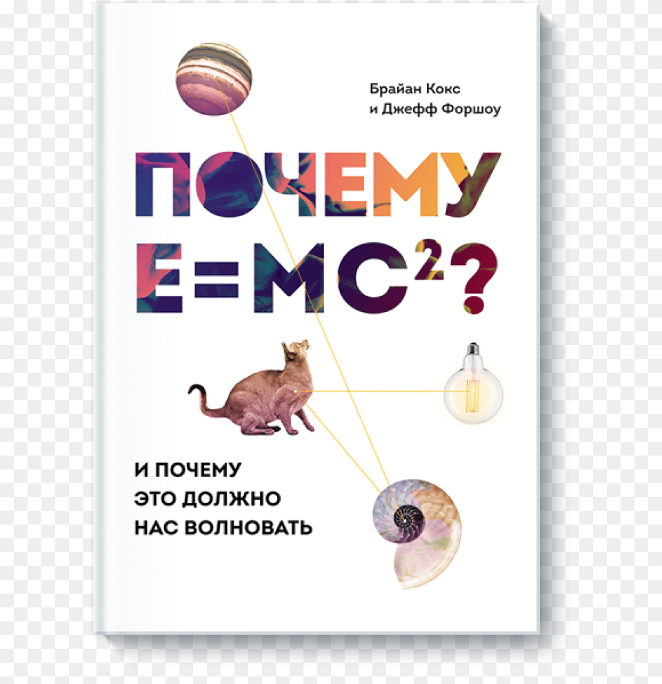 Pochemu Emc2 Poster, Advertisement, Animal, Pet, Cat Png