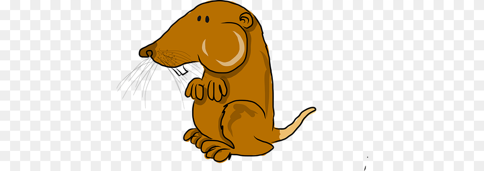 Pocket Gopher Animal, Mammal, Wildlife, Baby Free Png Download