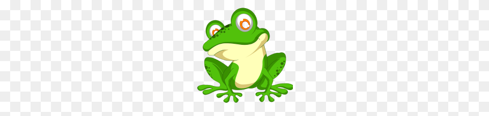 Pocket Pepe The Frog, Amphibian, Animal, Wildlife, Green Free Png Download