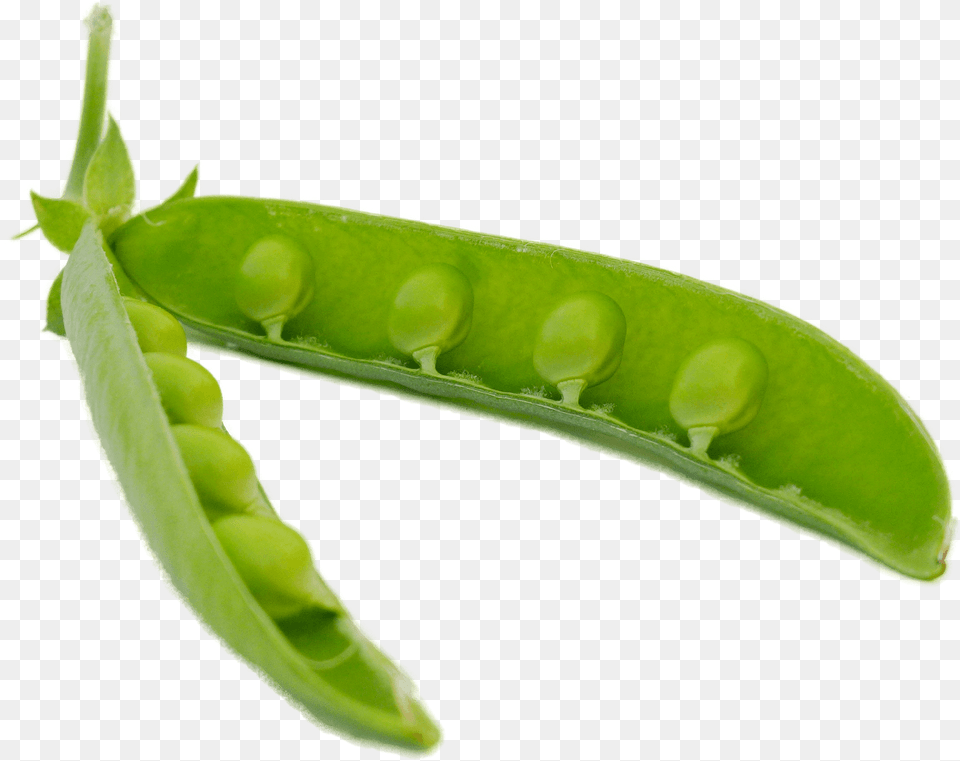 Pod Clipart, Food, Pea, Plant, Produce Png