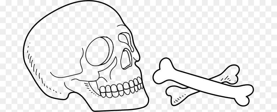 Podcast Skull, Body Part, Mouth, Person, Teeth Png Image