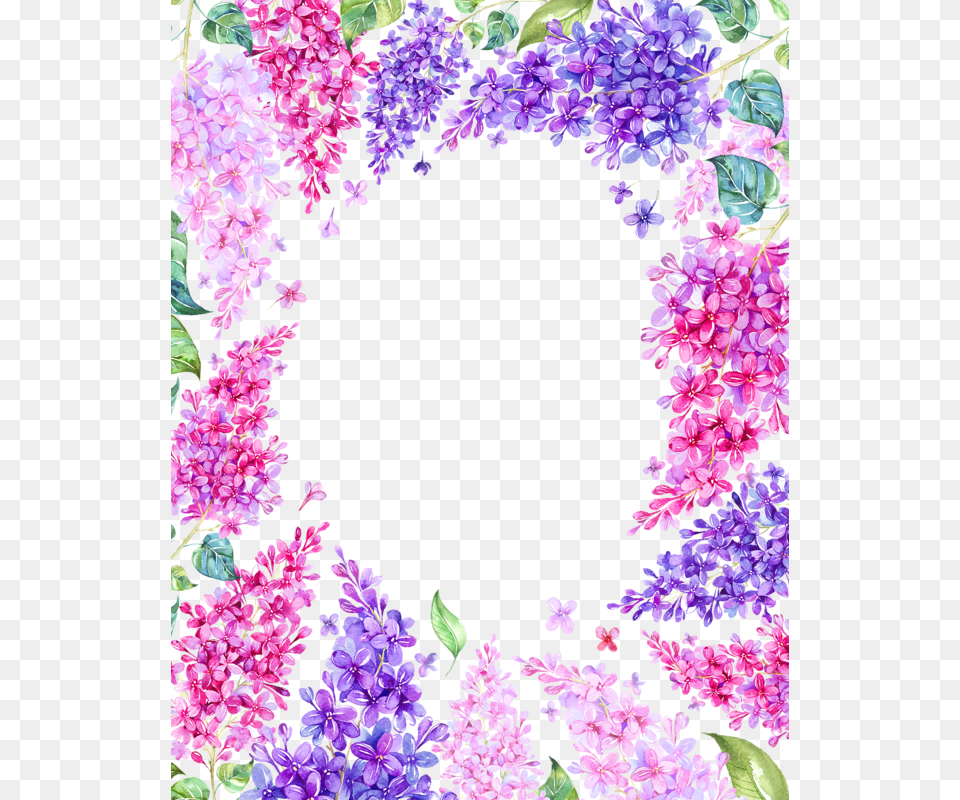 Podsolnuhi Watercolor Flowers Border, Flower, Petal, Plant, Purple Png