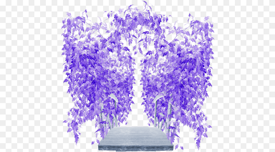 Poeme De Victor Hugo Wisteria, Arbour, Tree, Purple, Plant Png