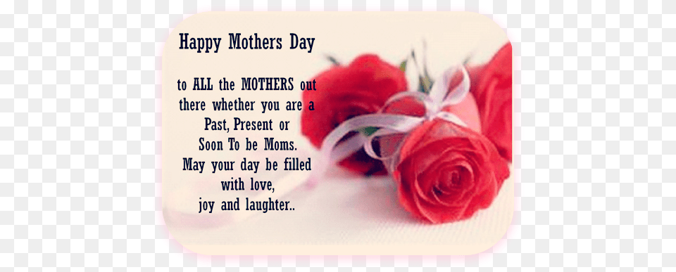 Poems On Mothers Day From Daughter To Mom Happy Mothers Day Wishes For All Moms, Flower, Petal, Plant, Rose Png Image
