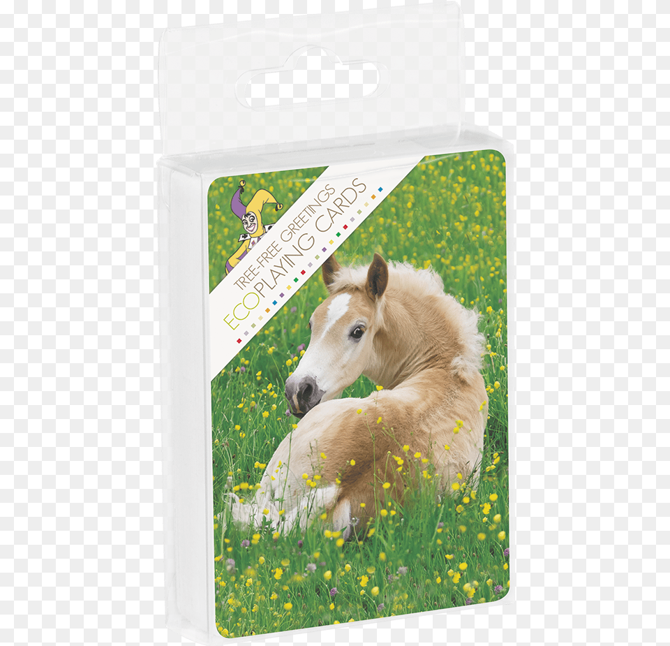 Poetry In Motion Nq Playing Cardstitle Cute Potros, Animal, Colt Horse, Horse, Mammal Free Png Download