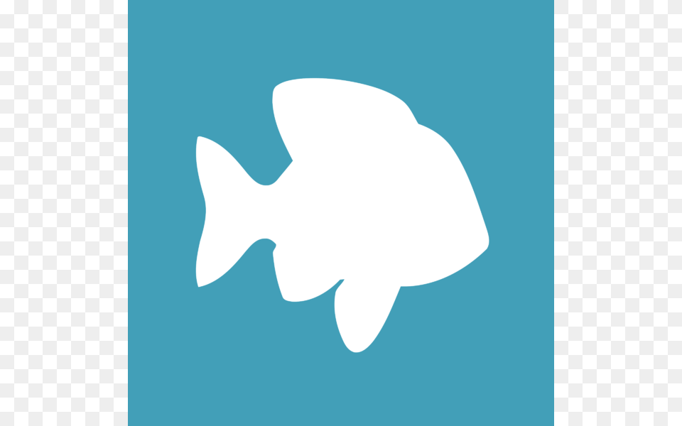 Pof Plenty Of Fish Logo Transparent Vector, Animal, Sea Life, Shark Free Png