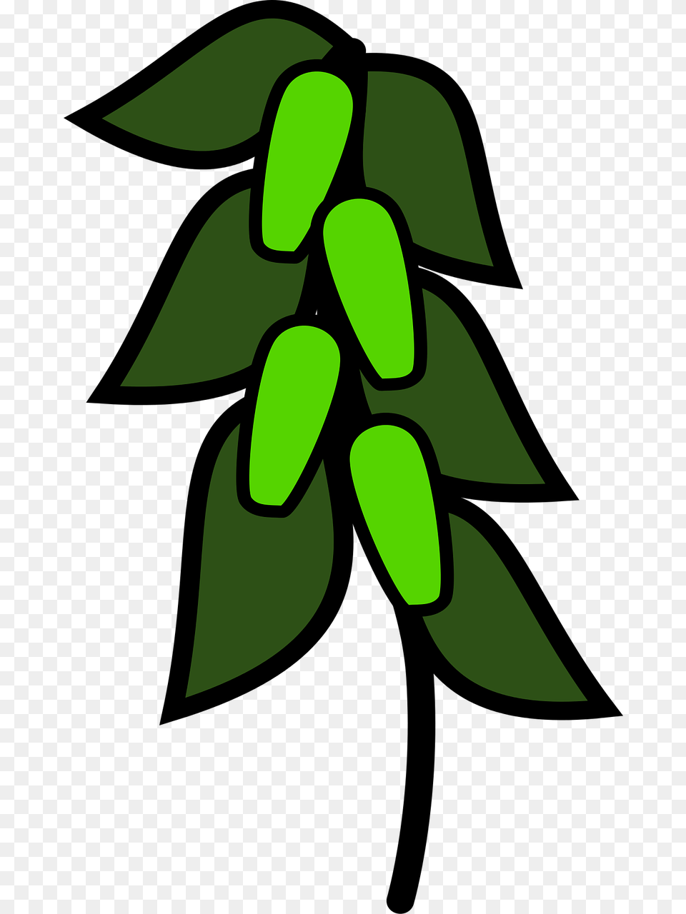 Pohon Kacang Hijau Kartun, Plant, Green, Leaf, Shark Png
