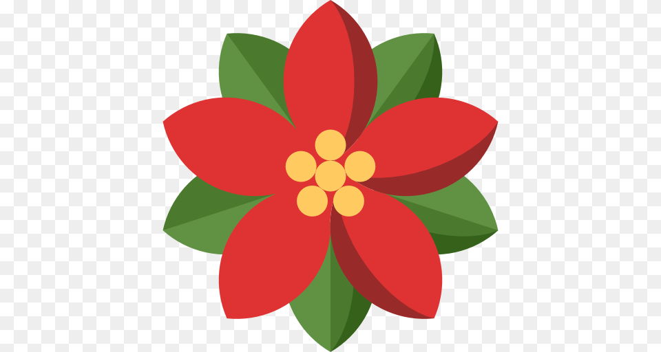 Poinsettia, Art, Plant, Pattern, Graphics Png Image