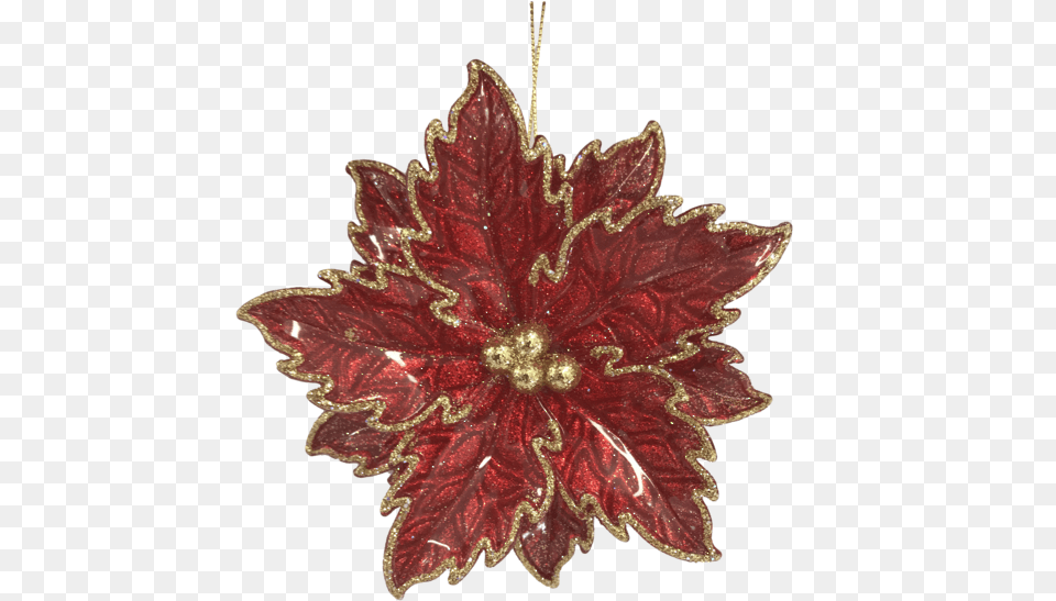 Poinsettia, Leaf, Plant, Tree, Accessories Png