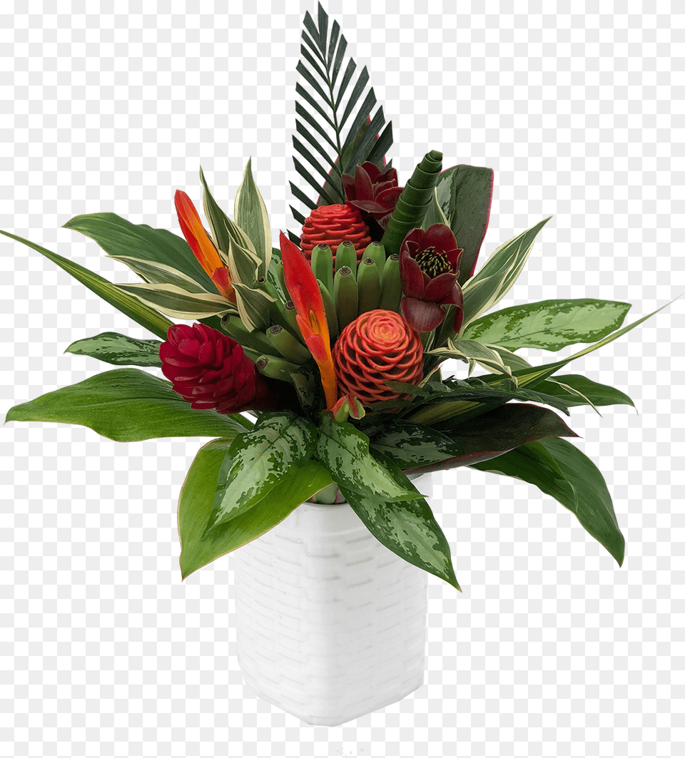 Poinsettia, Flower, Flower Arrangement, Flower Bouquet, Plant Png