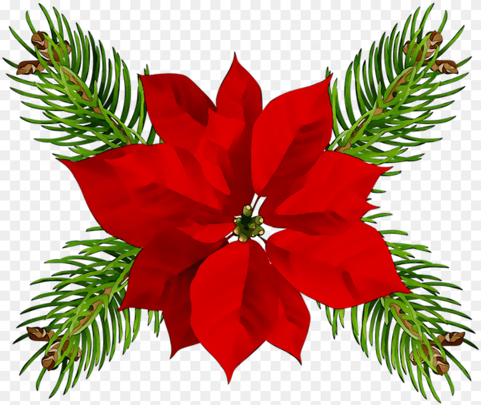 Poinsettia Christmas Day Christmas Ornament Portable Christmas Art, Flower, Leaf, Petal, Plant Free Png Download