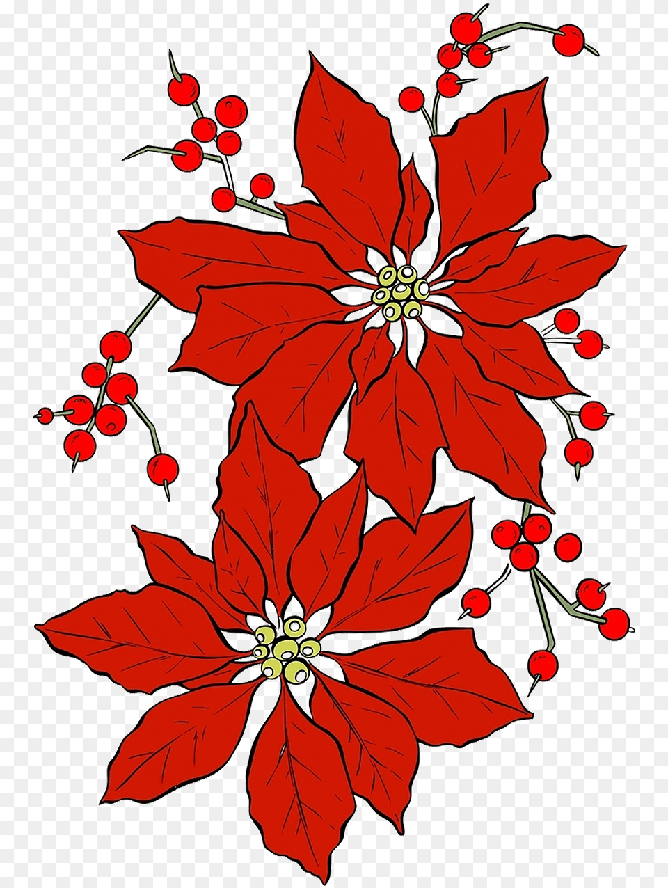 Poinsettia Christmas Red Flower, Art, Floral Design, Graphics, Leaf Png Image