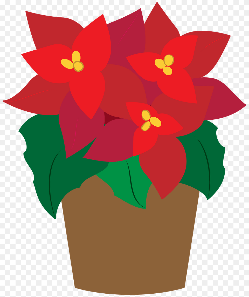 Poinsettia Clipart, Flower, Flower Arrangement, Potted Plant, Plant Png