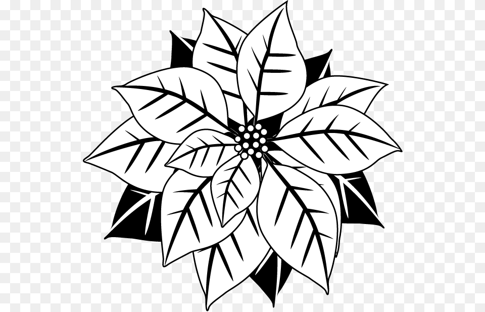 Poinsettia Clipart, Stencil, Plant, Pattern, Leaf Free Png Download