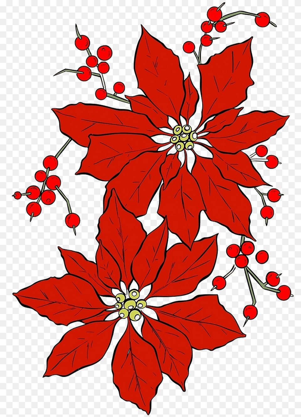 Poinsettia Clipart, Art, Floral Design, Graphics, Leaf Free Png Download