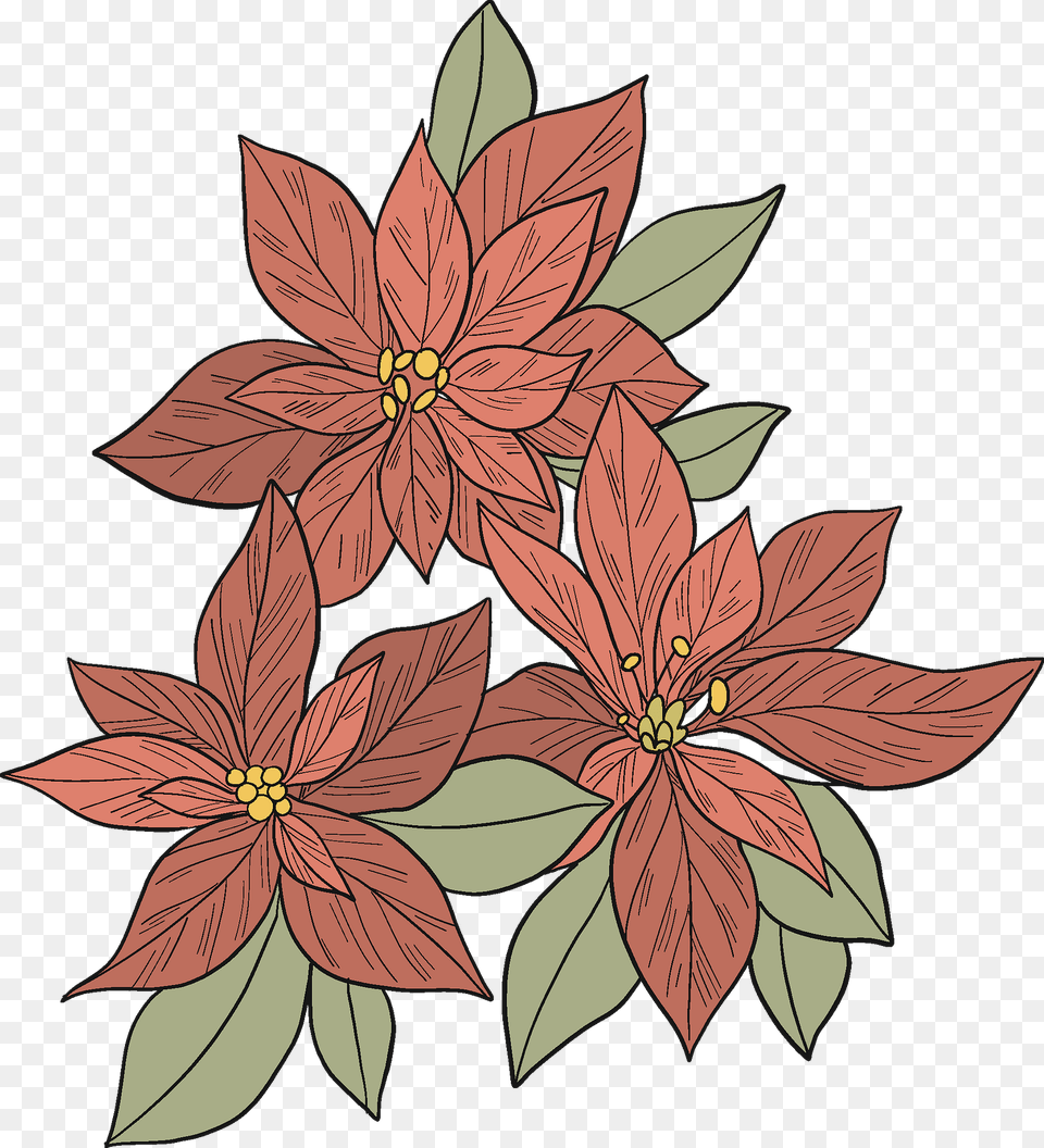 Poinsettia Clipart, Art, Floral Design, Graphics, Pattern Free Png
