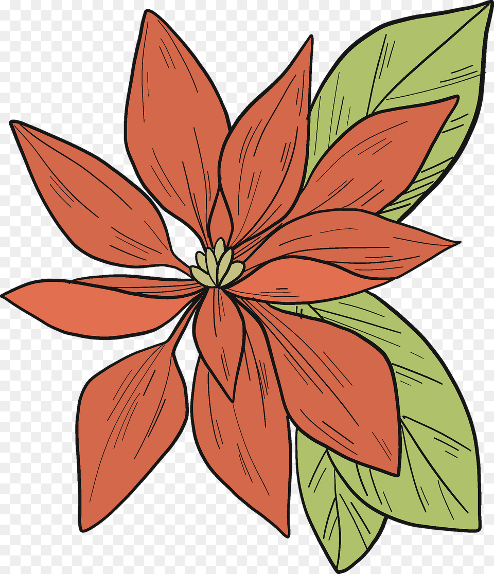 Poinsettia Clipart, Graphics, Art, Plant, Floral Design Free Png