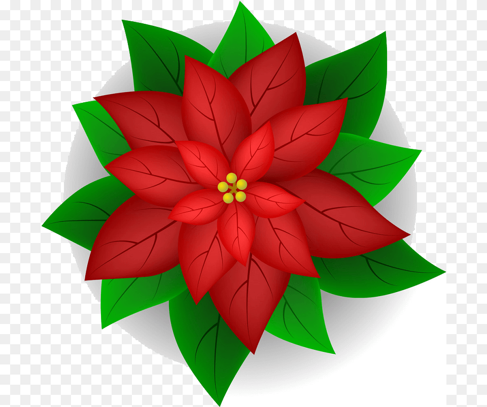 Poinsettia Clipart Poinsettia Flower Vector, Art, Dahlia, Floral Design, Graphics Free Png Download