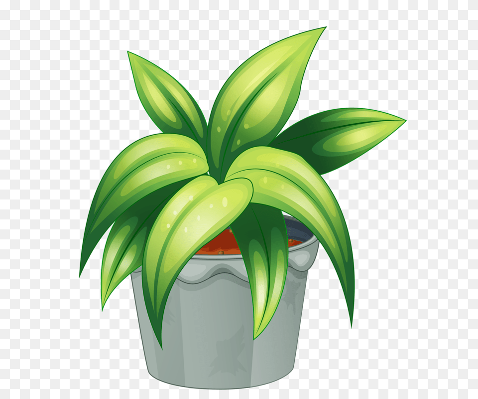 Poinsettia Clipart Potted Plant, Green, Leaf, Potted Plant, Aloe Free Png