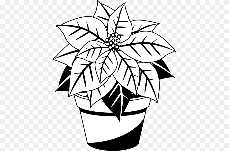 Poinsettia Cliparts Poinsettia Black And White, Leaf, Plant, Potted Plant, Stencil Free Png Download
