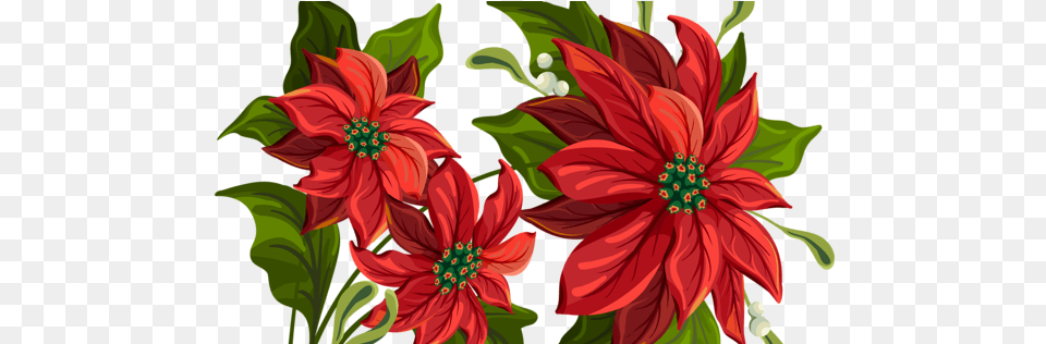 Poinsettia Drawing 600x315 Clipart Christmas Flower Background, Art, Dahlia, Floral Design, Graphics Free Transparent Png
