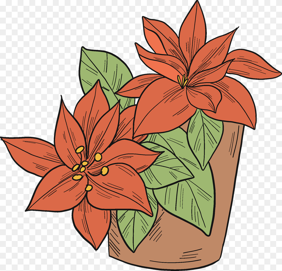 Poinsettia In A Pot Clipart, Flower, Leaf, Plant, Potted Plant Free Png