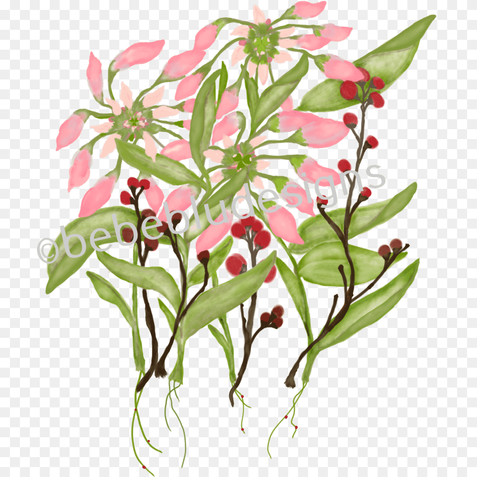 Poinsettia In Bud With Berries Clipart Daphne, Art, Pattern, Graphics, Flower Bouquet Free Png Download