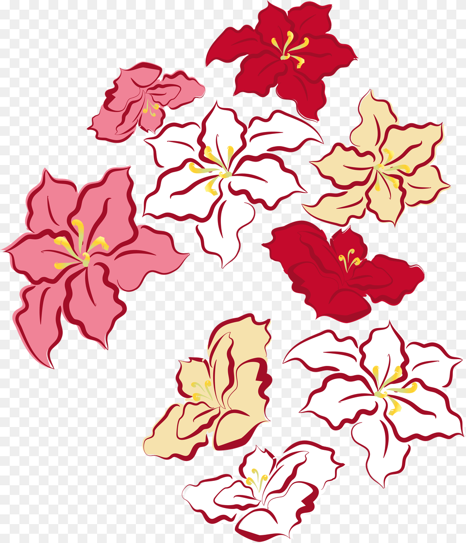 Poinsettia Leaf Clipart Poinsettia Christmas Flower Transparent, Plant, Hibiscus, Petal, Rose Free Png