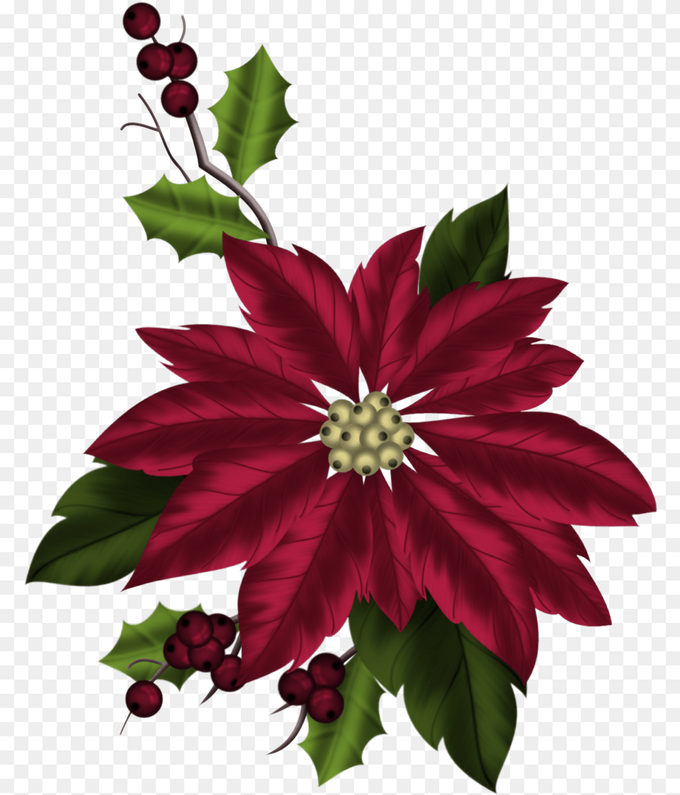Poinsettia Plant Christmas Day, Art, Dahlia, Floral Design, Flower Free Transparent Png