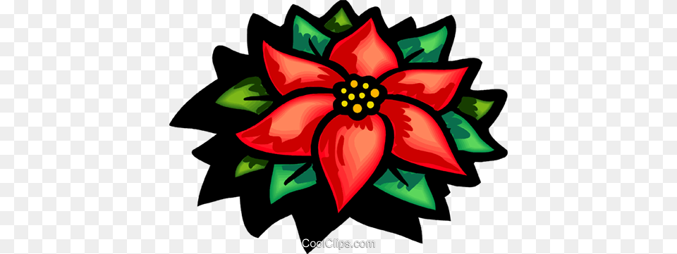 Poinsettia Royalty Vector Clip Art Illustration, Flower, Dahlia, Floral Design, Plant Png