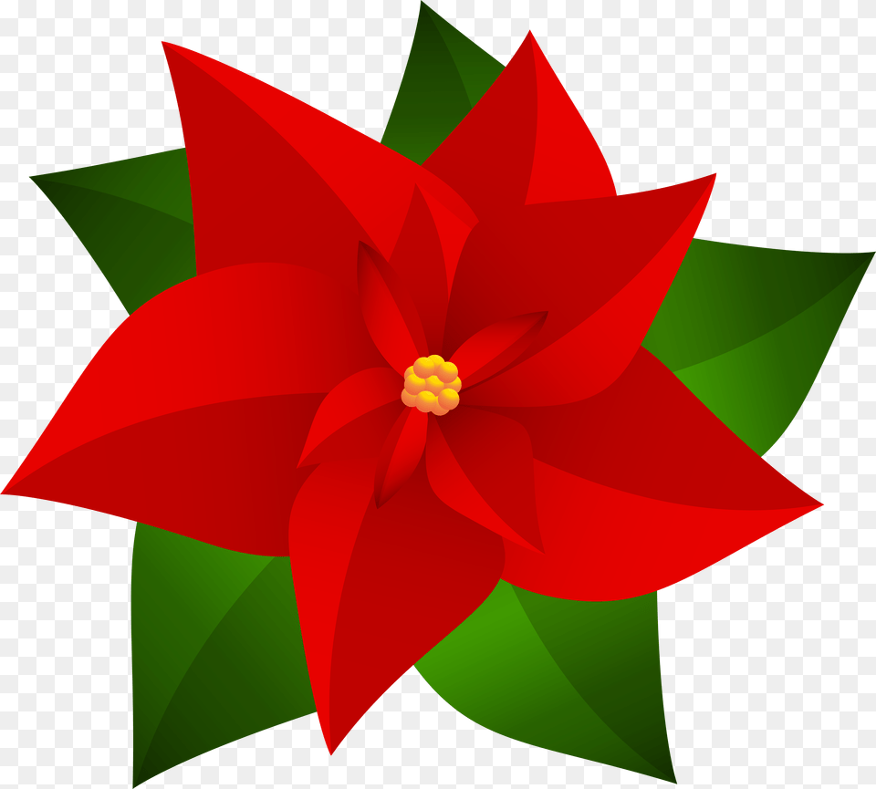 Poinsettia Transparent Snow Drawing Of Christmas Flowers, Dahlia, Flower, Leaf, Plant Png