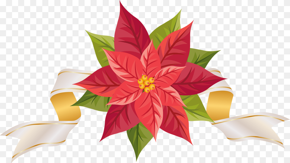 Poinsettia With Ribbon Clipart Christmas Poinsettia Border Clip Art, Graphics, Leaf, Plant, Floral Design Png Image