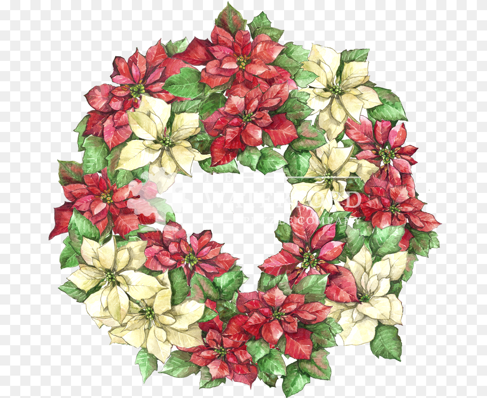 Poinsettia Wreath Poinsettia Wreath, Art, Floral Design, Graphics, Pattern Free Png Download