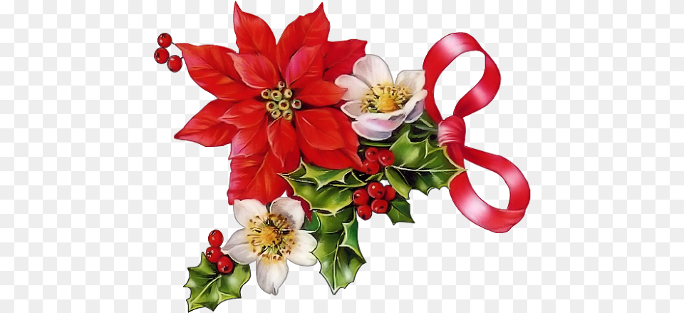 Poinsettias Clipart Christmas Rose Christmas Poinsettia Clipart, Art, Pattern, Graphics, Flower Bouquet Free Png Download